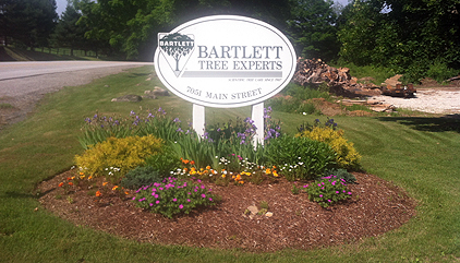 Bartlett Tree Experts Tree Service And Shrub Care In Manchester VT